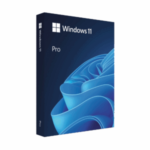 Windows 11 Pro 64-Bit, ESD