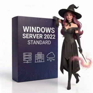 Windows Server 2022 Standard